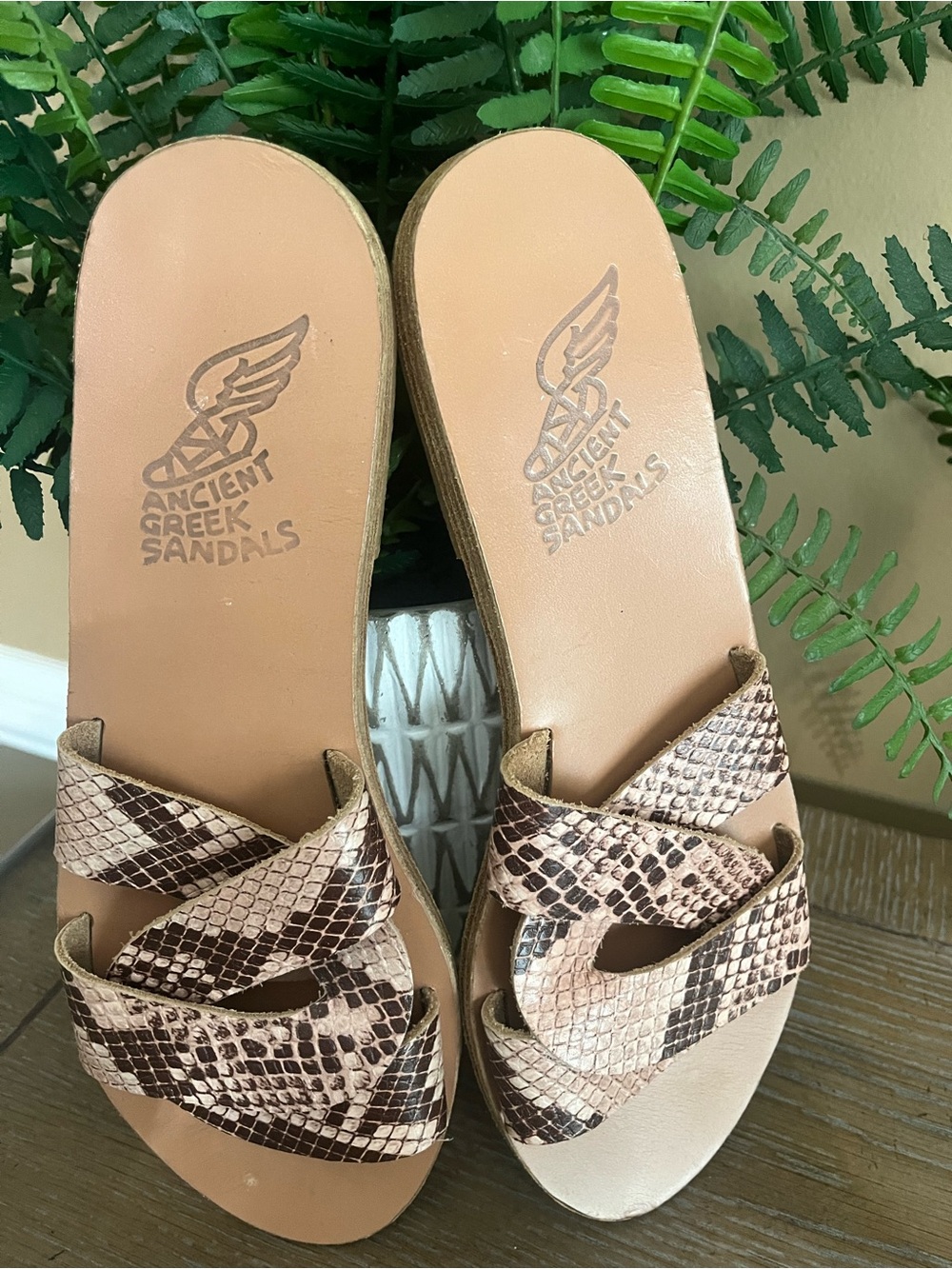 ANCIENT GREEK Desmos Snake Print
Leather Slides Flats Slip On Sandals
Size 9 - Picture 9 of 11
